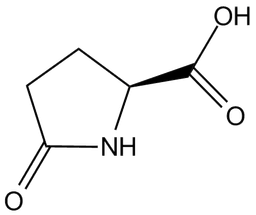 L-Pyroglutamic acid