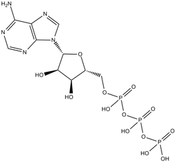 ATP
