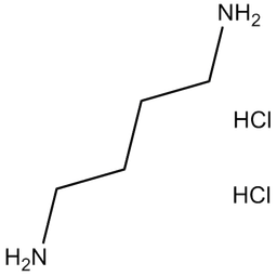 1,4-Diaminobutane dihydrochloride