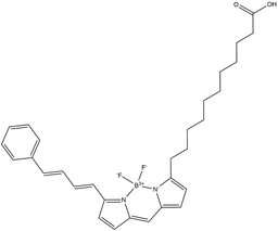 BODIPY 581/591 C11