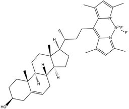 BODIPY-Cholesterol