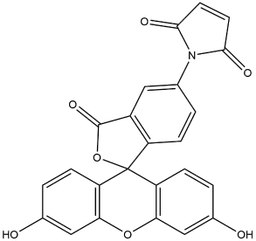 Fluorescein-5-maleimide