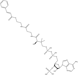 (E)-Cinnamoyl-coA