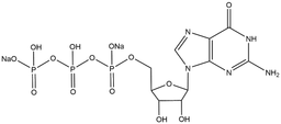 Guanosine-5'-triphosphate disodium salt