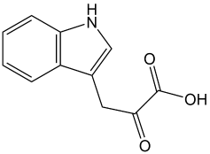 Indole-3-pyruvic acid