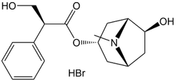 Anisodamine Hydrobromide