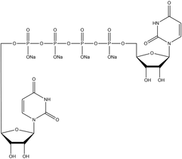 Diquafosol Tetrasodium