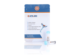 Anti-C1q Antibody (ANX005)