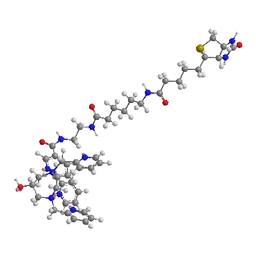 Phos binding reagent (Phosbind) Biotin LC