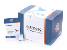 Taq DNA Polymerase kit
