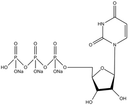 UTP Solution (100mM)