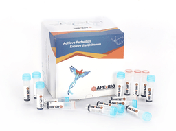 HyperScribe™ All in One mRNA Synthesis Kit Plus 1 (ARCA, 5mCTP, ψUTP, T7, poly(A))
