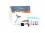 HyperLight™ FluorGreen dsDNA Assay Kit