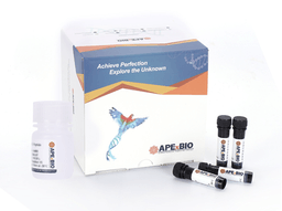 Mitochondrial Permeability Transition Pore Assay Kit