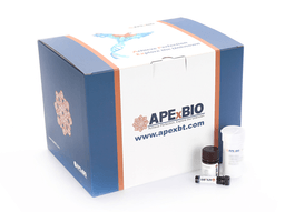 Cell Counting Kit-8 (CCK-8) Plus