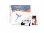 Total Glutathione Detection Kit (DTNB Colorimetric Method)