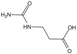 beta-Alanine metabolism