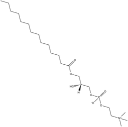 1-myristoylglycerophosphocholine