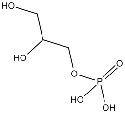 glycerol 3-phosphate (G3P)