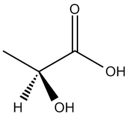 lactate