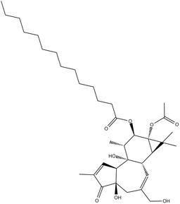12-O-tetradecanoyl phorbol-13-acetate (PMA)