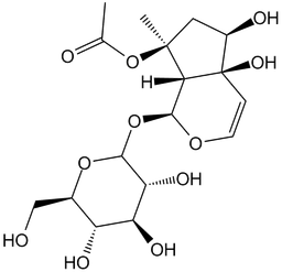 8-O-Acetylharpagide