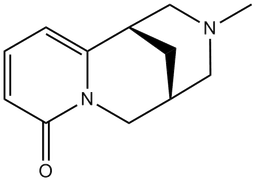 N－Methylcytisine