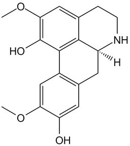 Norisoboldine