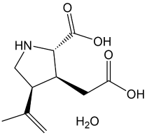 Kainic acid monohydrate