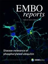 (Patho-)physiological relevance