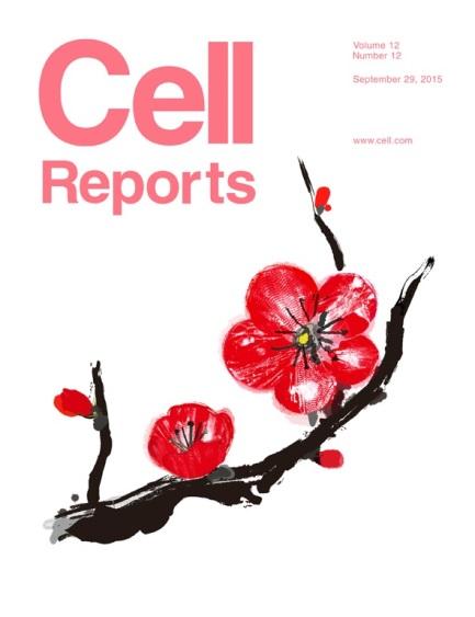 Inhibition of Super-Enhancer