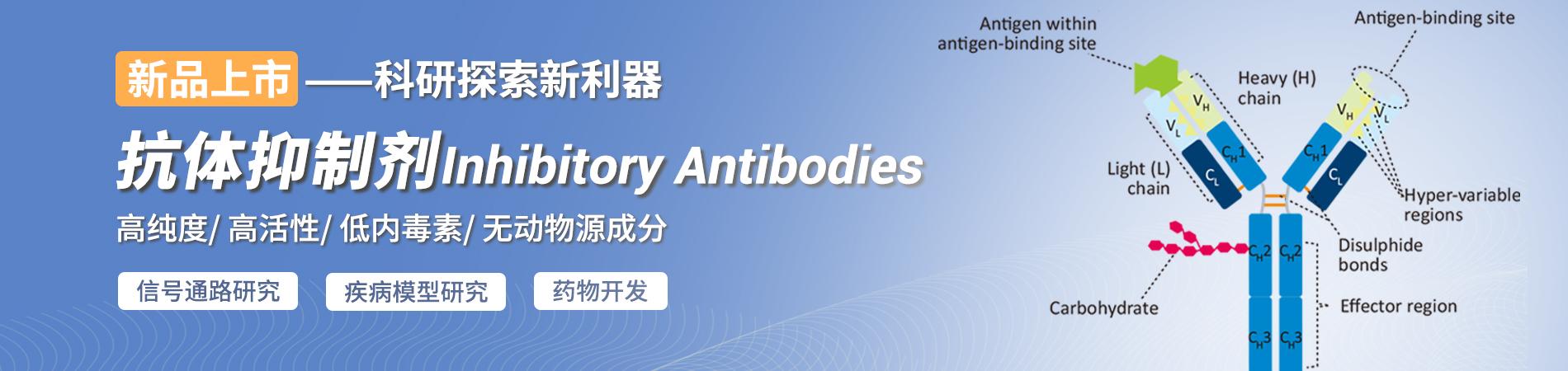 产品上新|抗体抑制剂