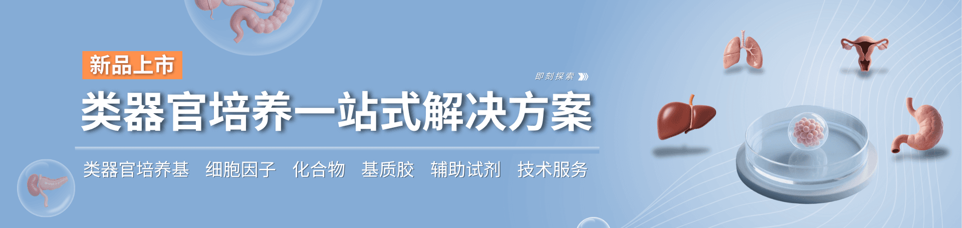 类器官培养一站式解决方案
