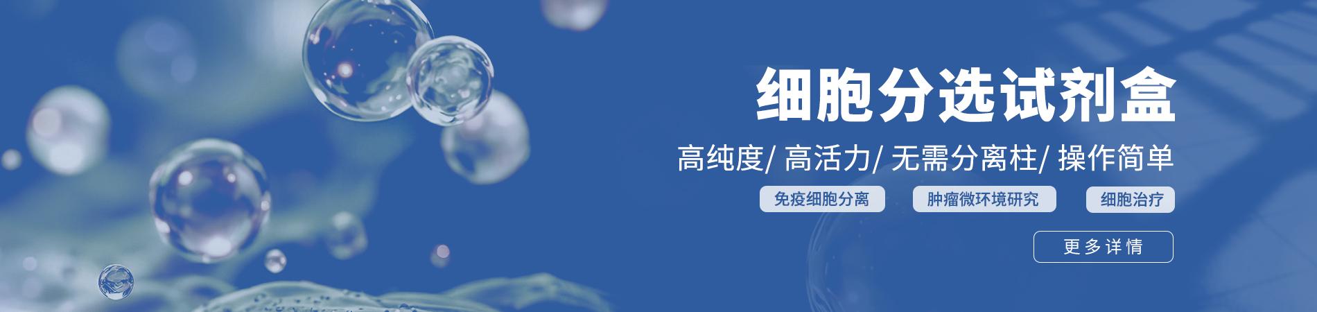 细胞分选