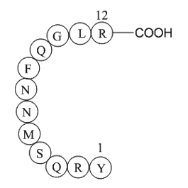 Adrenomedullin (1-12), human