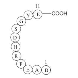 Beta-Amyloid (1-11)