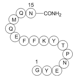 Amyloid Precursor C-Terminal Peptide