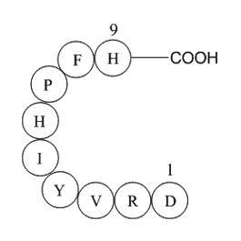 Angiotensin 1/2 (1-9)