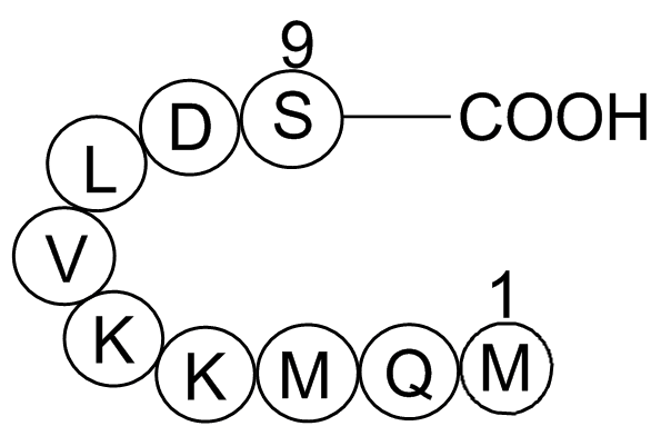 Anti-Inflammatory Peptide 1