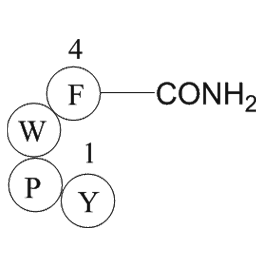 Endomorphin-1