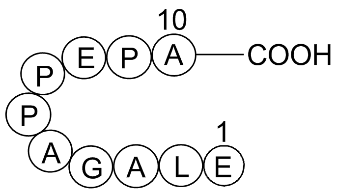 Beta-Lipotropin (1-10), porcine