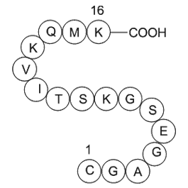GTP-Binding Protein Fragment, G alpha