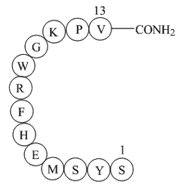 a-MSH, amide