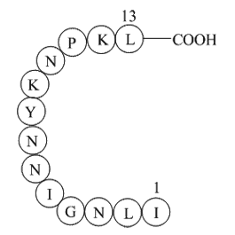 β-Interleukin II (44-56)