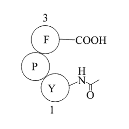 Fas C- Terminal Tripeptide
