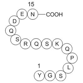Myelin Basic Protein (68-82), guinea pig