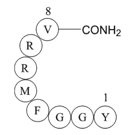 Adrenorphin