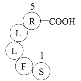 Thrombin Receptor Activator for Peptide 5 (TRAP-5)