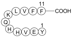 Amyloid β-Peptide (10-20) (human)