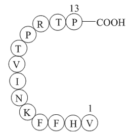 Myelin Basic Protein (87-99)